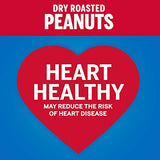 PLANTERS Salted Cocktail Peanuts, Party Snacks, Plant Based Protein 16oz (1 Canister)-UPStoxs