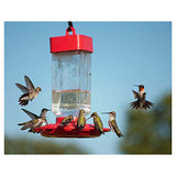Kaytee Hummingbird ElectroNectar Wild Bird Food, Ready to Use, 64 Ounces-UPStoxs
