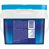 CLOROX Pool&Spa XtraBlue 3” Chlorinating Tablets, Kills Bacteria & Stops Algae, 5 LB-UPStoxs