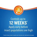 Cutter Backyard Bug Control Spray Concentrate (2 Pack), Kills Mosquitoes, Fleas & Listed Ants, 32 fl Ounce-UPStoxs