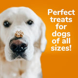 Fruitables Baked Dog Treats Pumpkin & Banana Flavor 7 Oz-UPStoxs