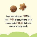 Purina Friskies Made in USA Facilities, Natural Cat Treats, Party Mix Natural Yums Catnip Flavor - 20 oz. Canister-UPStoxs