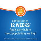 Cutter Backyard Bug Control Spray Concentrate, Mosquito Repellent, Kills Mosquitoes, Fleas & Listed Ants, 32 fl Ounce-UPStoxs