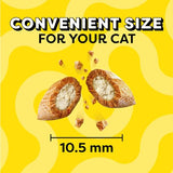 Temptations MixUps Backyard Cookout Flavor Crunchy and Soft Cat Treats, 16 oz. Tub-UPStoxs