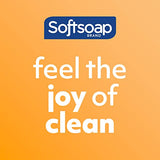 Softsoap Antibacterial Liquid Hand Soap Refill, White Tea & Berry Scented Hand Soap, 50 Ounce(Packaging May Vary)-UPStoxs