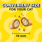 TEMPTATIONS Jumbo Stuff Crunchy and Soft Cat Treats, Tasty Chicken Flavor, 14 oz. Tub, (Pack of 1)-UPStoxs