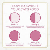 Purina Fancy Feast Dry Cat Food Filet Mignon Flavor with Seafood and Shrimp - 3 lb. Bag-UPStoxs