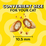 Temptations MixUps Backyard Cookout Flavor Crunchy and Soft Cat Treats, 30 oz. Tub-UPStoxs