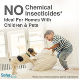 Safer Home SH506 Indoor Plug-in Fly Trap Refill Pack of 6 Glue Cards for SH502 Indoor Fly Trap-UPStoxs