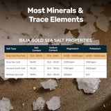 Baja Gold Mineral Sea Salt, Natural Grain Crystals, 1 Lb. Bag-UPStoxs