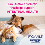 Proviable Digestive Health Supplement Multi-Strain Probiotics and Prebiotics for Cats and Dogs - With 7 Strains of Bacteria, 30 Capsules-UPStoxs