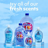 Softsoap Liquid Hand Soap, Fresh Breeze - 7.5 Fl Oz (Pack of 6)-UPStoxs