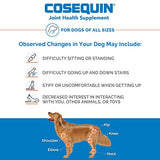 Nutramax Laboratories Cosequin Maximum Strength Joint Health Supplement for Dogs - With Glucosamine, Chondroitin, and MSM, 250 Chewable Tablets-UPStoxs