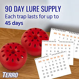 TERRO T2503-3 Ready-to-Use Indoor Fruit Fly Trap with Built in Window - 6 Traps + 270 day Lure Supply-UPStoxs