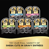 SHEBA Perfect Portions Cuts in Gravy Wet Cat Food Trays, Roasted Chicken, Gourmet Salmon and Tender Turkey Entrée Variety Pack, Easy Peel Twin-Pack Trays, 1.32 Ounce (Pack of 48)-UPStoxs