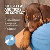 Veterinary Formula Flea and Tick Shampoo for Dogs and Cats, 16 oz-UPStoxs