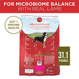Purina ONE Dry Dog Food Lamb and Rice Formula - 31.1 lb. Bag-UPStoxs