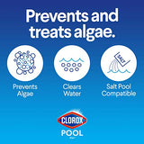 Clorox® Pool&Spa™ Swimming Pool Algaecide and Clarifier, Prevents and Treats Pool Algae, Clears Water, 128 Fl Oz (Pack of 1)-UPStoxs