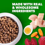 IAMS Adult Minichunks Small Kibble High Protein Dry Dog Food with Real Chicken, 30 lb. Bag,(Packaging may vary)-UPStoxs