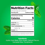 PUR Gum | Aspartame Free Chewing Gum | 100% Xylitol | Natural Spearmint Flavored Gum, 55 Pieces (Pack of 1)-UPStoxs