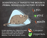 Grandpa Gus's Extra-Strength Mouse Repellent Pouches, Cinnamon/Peppermint Oils Repel Mice from Nesting & Freshen Air in Car/RV/Boat/Garage/Shed/Cabin, 1.75 oz (Pack of 10)-UPStoxs