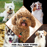Wahl USA Dry Skin & Itch Relief Pet Shampoo for Dogs – Oatmeal Formula with Coconut Lime Verbena & Pet Friendly Formula, 24 Oz - Model 820004A-UPStoxs