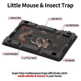 LULUCATCH Mouse & Insect Traps 12 Pack, Heavier Sticky Traps with Non-Toxic Glue for Small Mice & Insects. Sticky Mouse Traps Indoor, Easy to Set, Safe to Children & Pets-UPStoxs