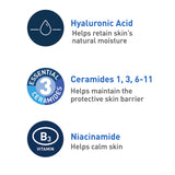 CeraVe Foaming Facial Cleanser | Daily Face Wash for Oily Skin with Hyaluronic Acid, Ceramides, and Niacinamide| Fragrance Free | 16 Fluid Ounce-UPStoxs