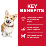 Hill's Science Diet Adult 1-6, Adult 1-6 Premium Nutrition, Small Kibble, Dry Dog Food, Chicken & Barley, 15 lb Bag-UPStoxs