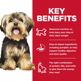 Hill's Science Diet Small & Mini, Adult 1-6, Small & Mini Breeds Premium Nutrition, Dry Dog Food, Chicken & Brown Rice, 4.5 lb Bag-UPStoxs