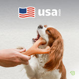 Benebone Wishbone Durable Dog Chew Toy for Aggressive Chewers, Made in USA, Small, Real Bacon Flavor-UPStoxs
