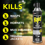 Raid Wasp & Hornet Killer Spray, Bug Killer Kills the Entire Nest, 14 Oz, 2 Count-UPStoxs
