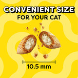 TEMPTATIONS Classic Crunchy and Soft Cat Treats, SEAFOOD MEDLEY, Multiple Sizes-UPStoxs
