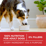 Purina ONE Dry Dog Food Lamb and Rice Formula - 8 lb. Bag-UPStoxs