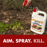 Spectracide Weed & Grass Killer, Use On Driveways, Walkways and Around Trees and Flower Beds, 1 Gallon (RTU Spray)-UPStoxs
