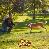 Pup-Peroni Dog Treats, Original Beef Flavor, 38 Ounce, Made with Real Beef-UPStoxs