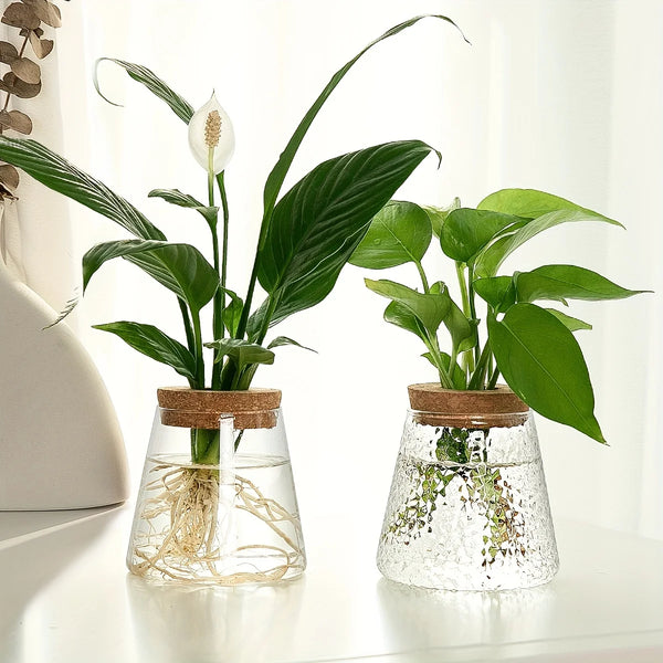 Glass Planter Propagation Station Vase Rack Tabletop Hydroponic Plants Cuttings